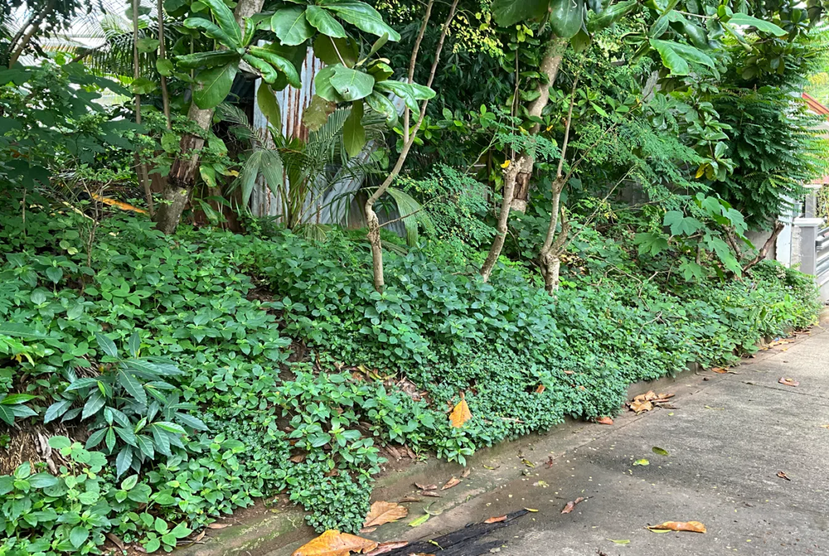 Residential Lot for Sale at Mega heights Subdivision Gusa CDO