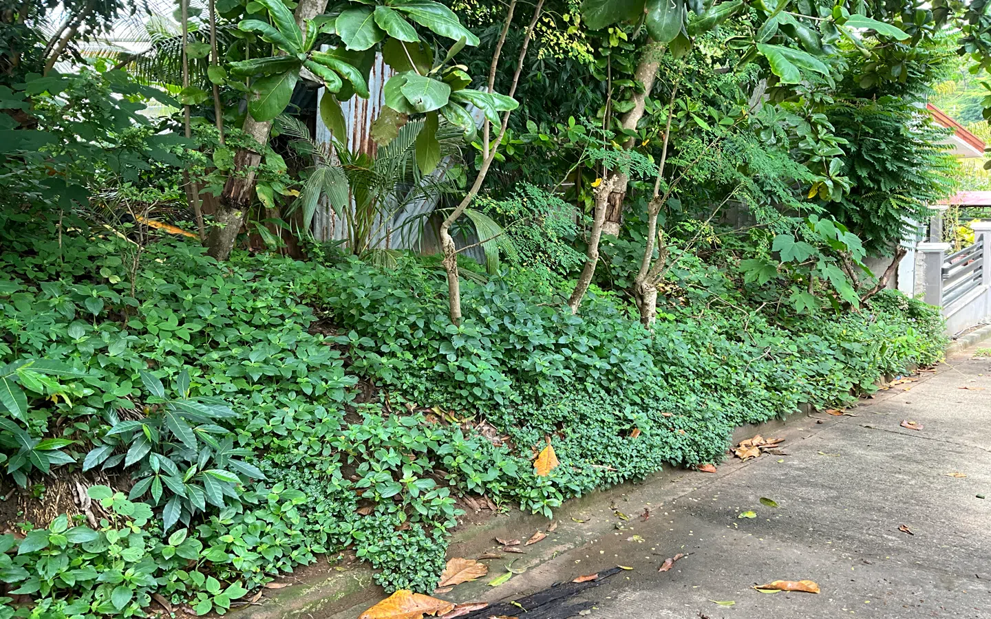 Residential Lot for Sale at Mega heights Subdivision Gusa CDO