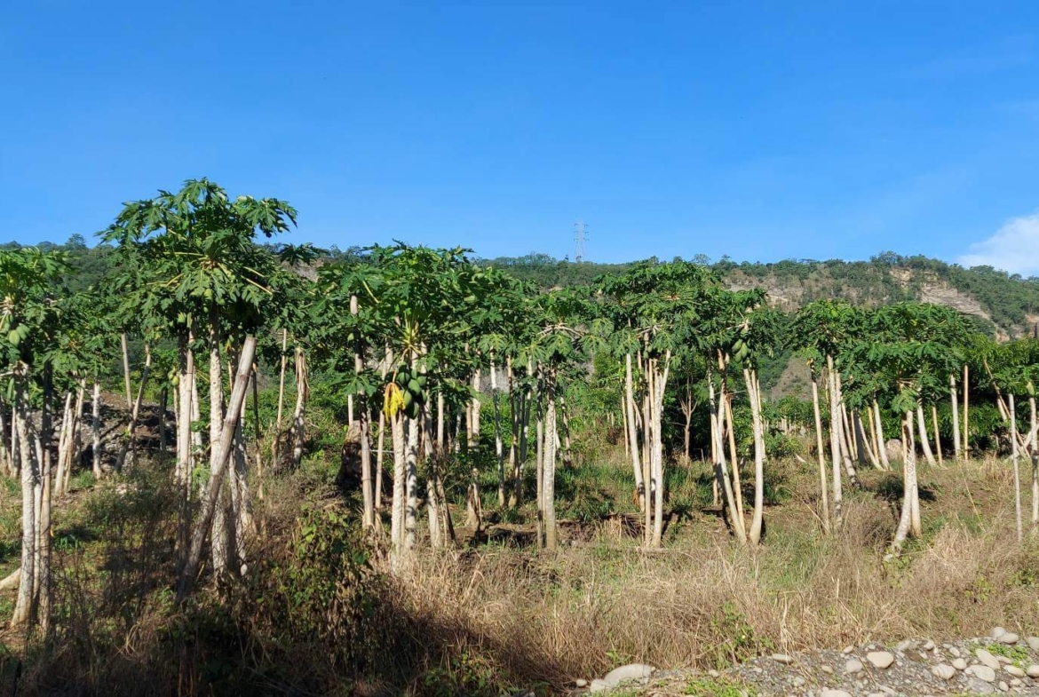 Santa Ana Tagoloan Lot for Sale