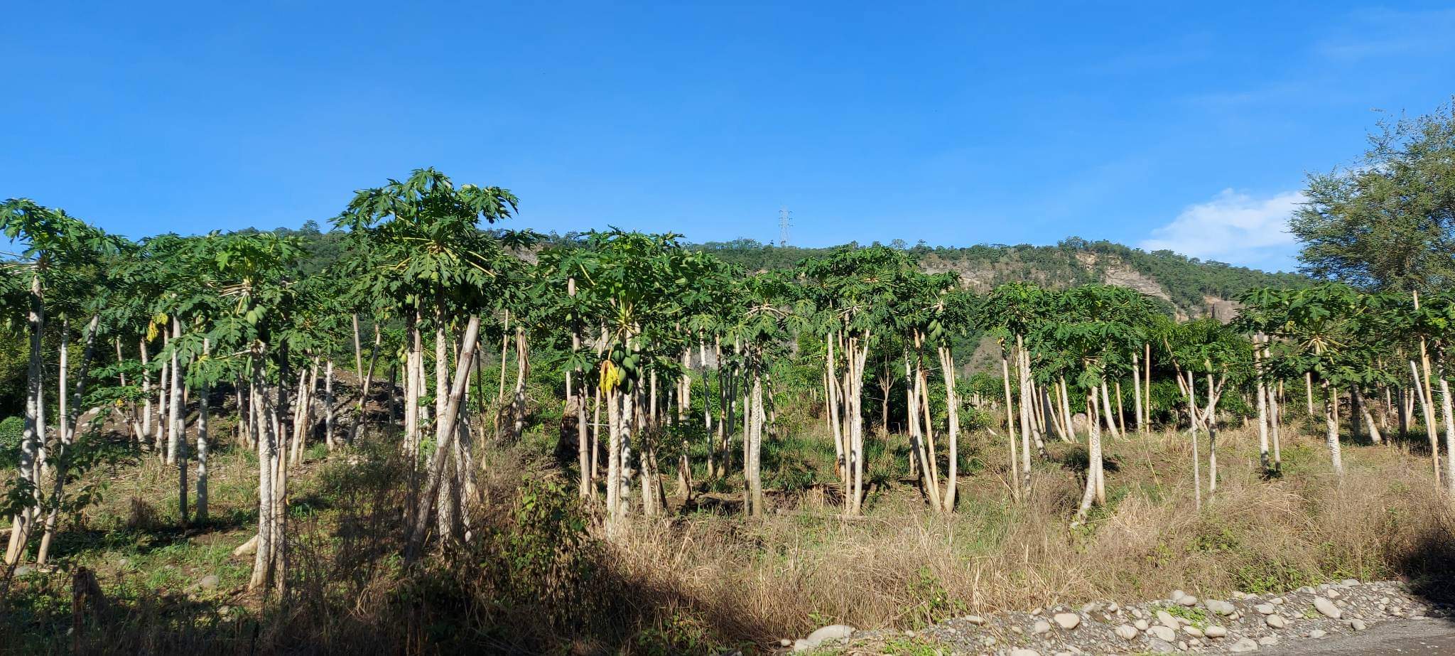 Santa Ana Tagoloan Lot for Sale