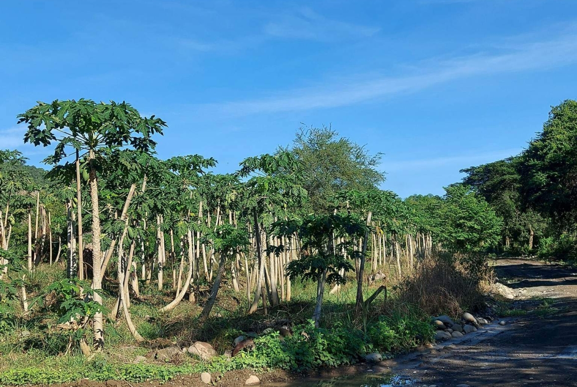 Santa Ana Tagoloan Lot for Sale