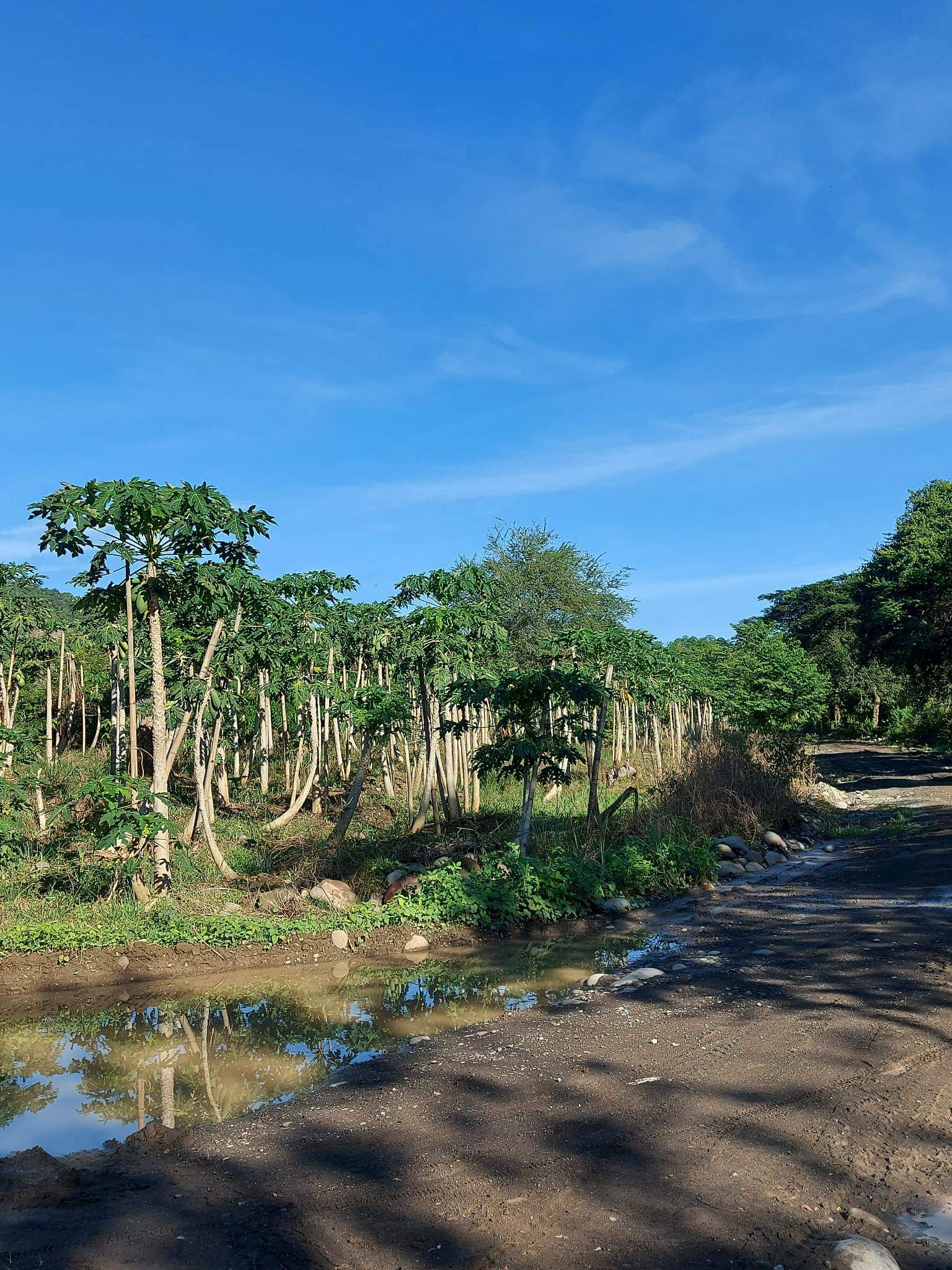 Santa Ana Tagoloan Lot for Sale