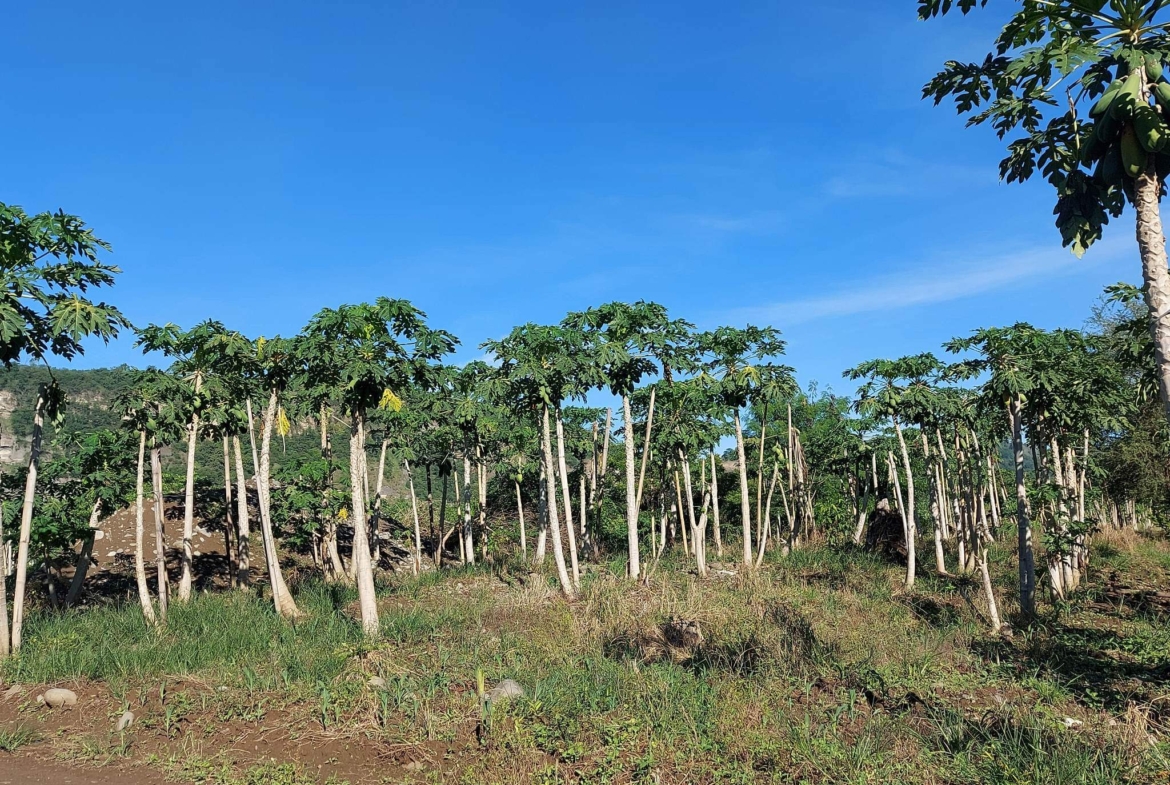 Santa Ana Tagoloan Lot for Sale