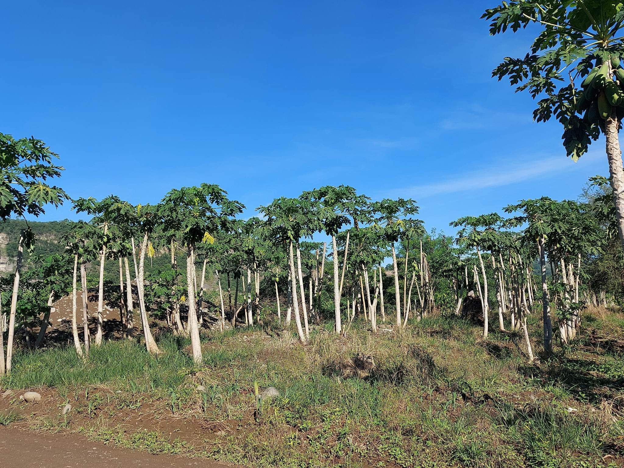 Santa Ana Tagoloan Lot for Sale