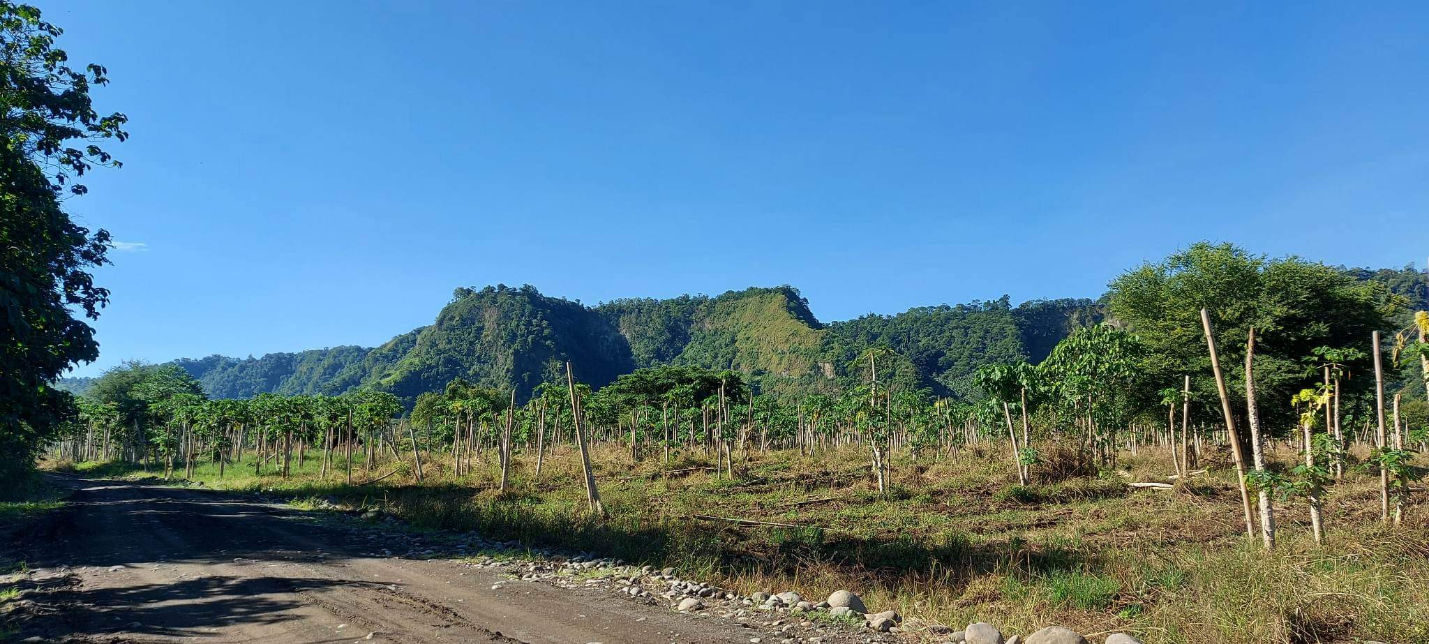 Santa Ana Tagoloan Lot for Sale