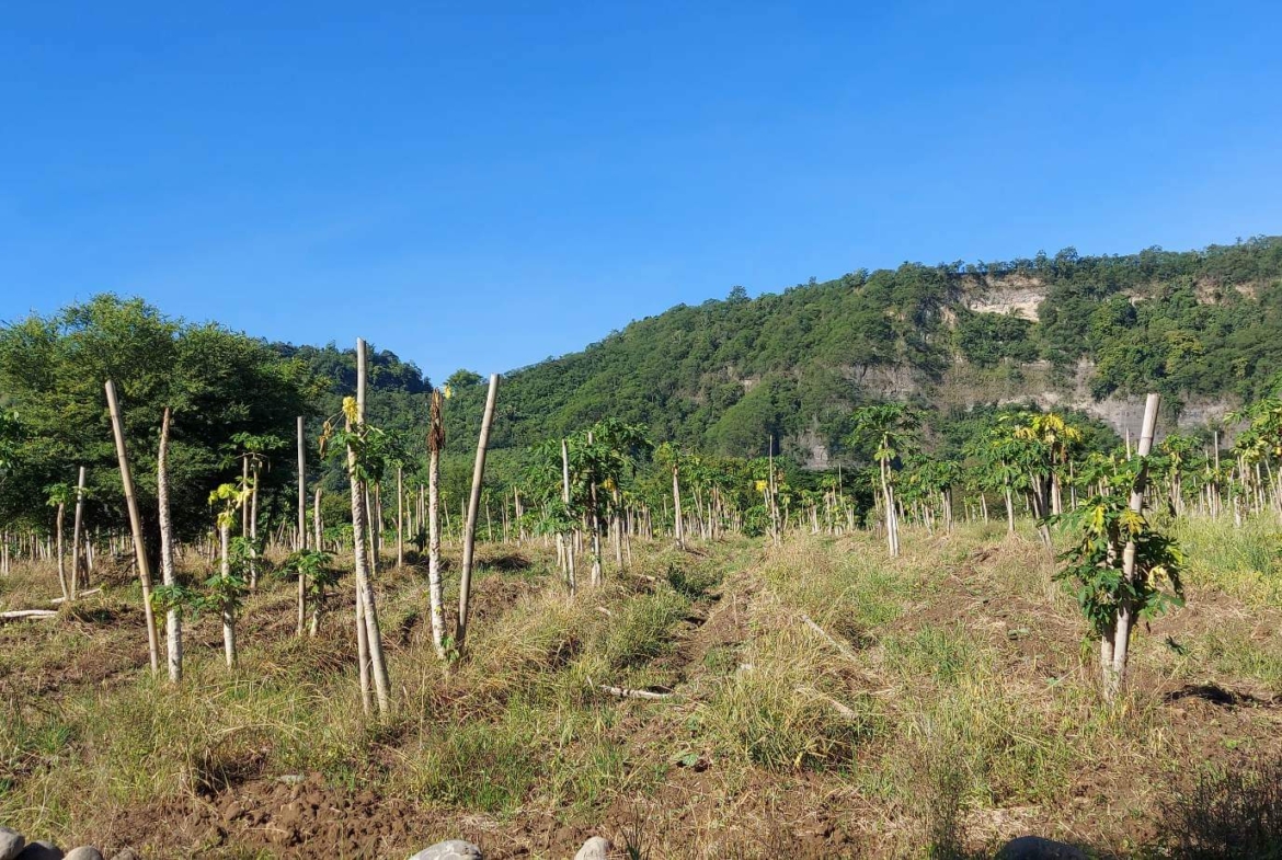 Santa Ana Tagoloan Lot for Sale