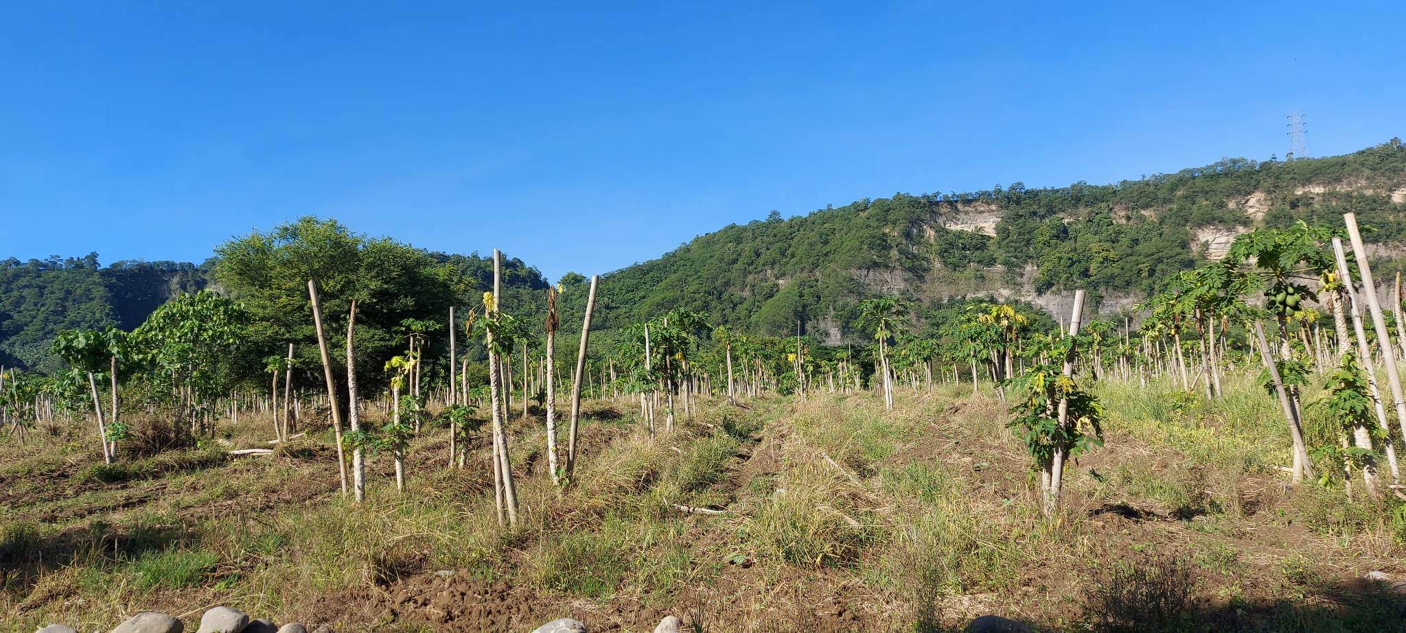 Santa Ana Tagoloan Lot for Sale