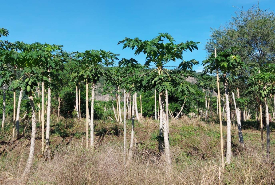 Santa Ana Tagoloan Lot for Sale