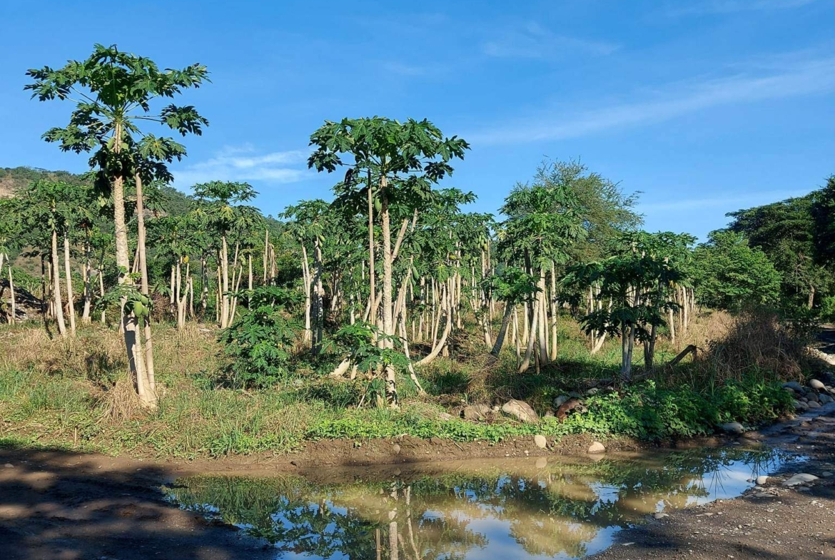 Santa Ana Tagoloan Lot for Sale