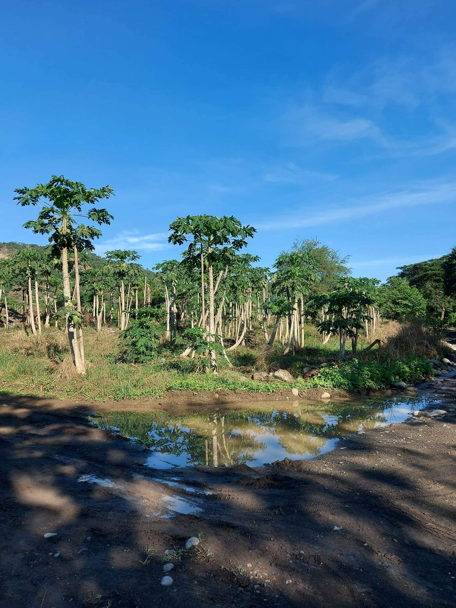 Santa Ana Tagoloan Lot for Sale