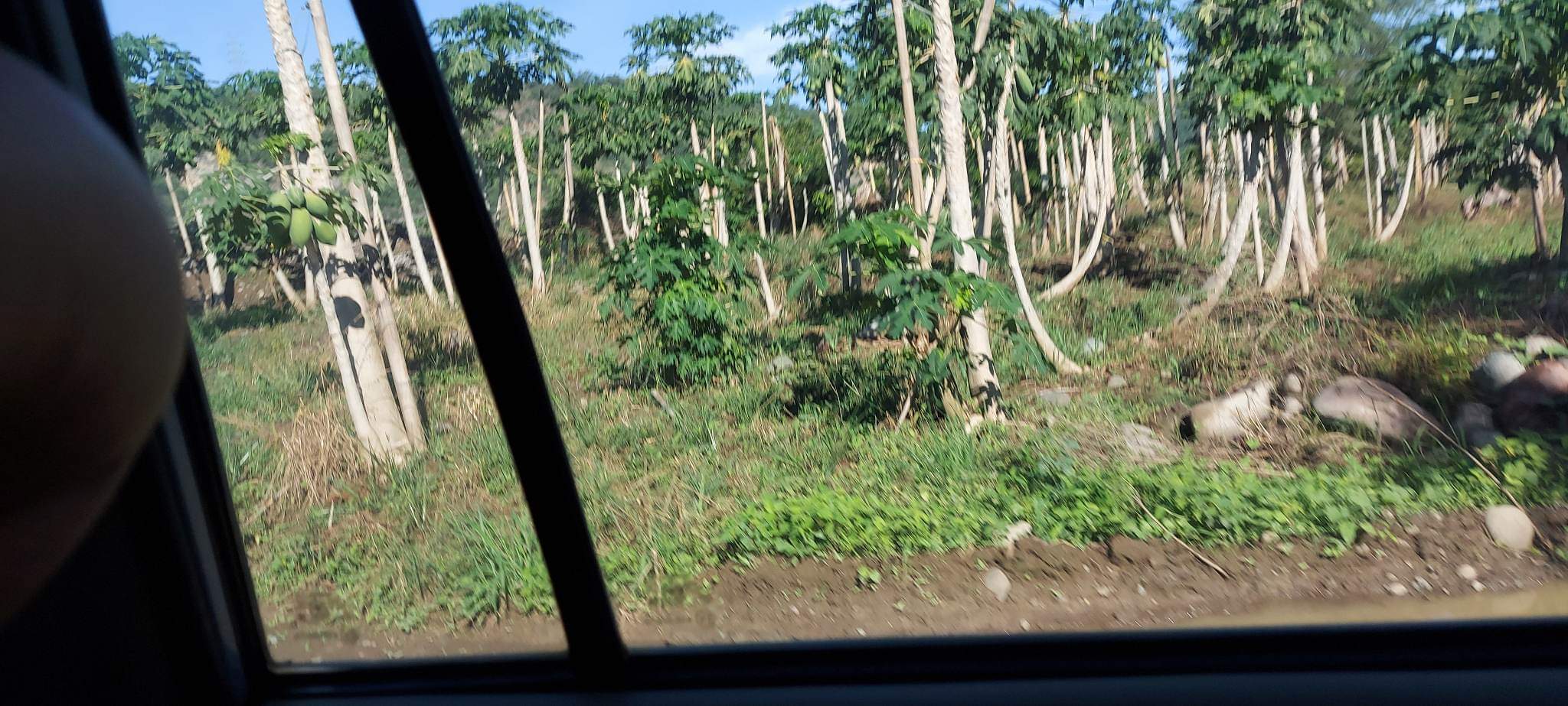 Santa Ana Tagoloan Lot for Sale