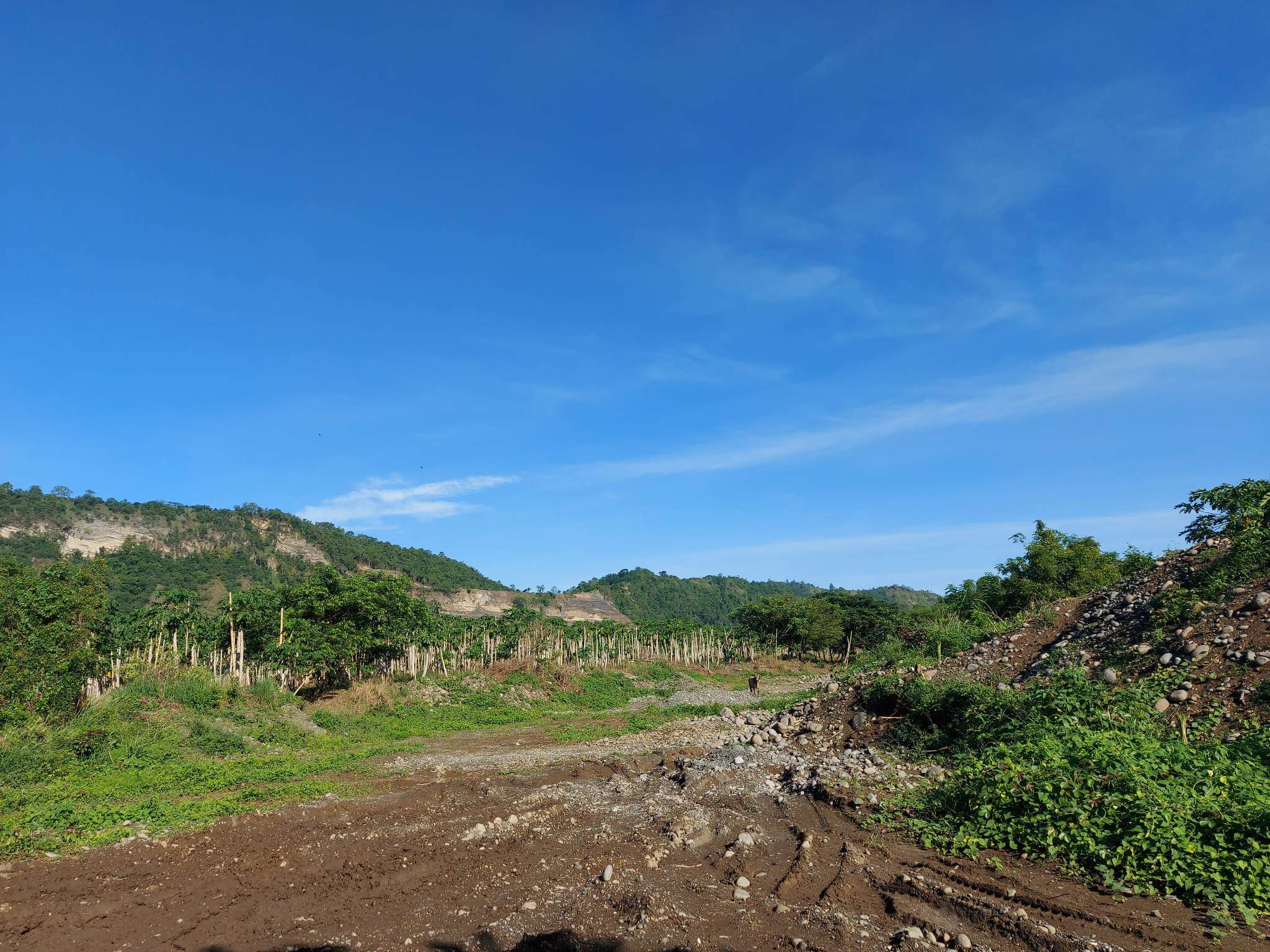 Santa Ana Tagoloan Lot for Sale