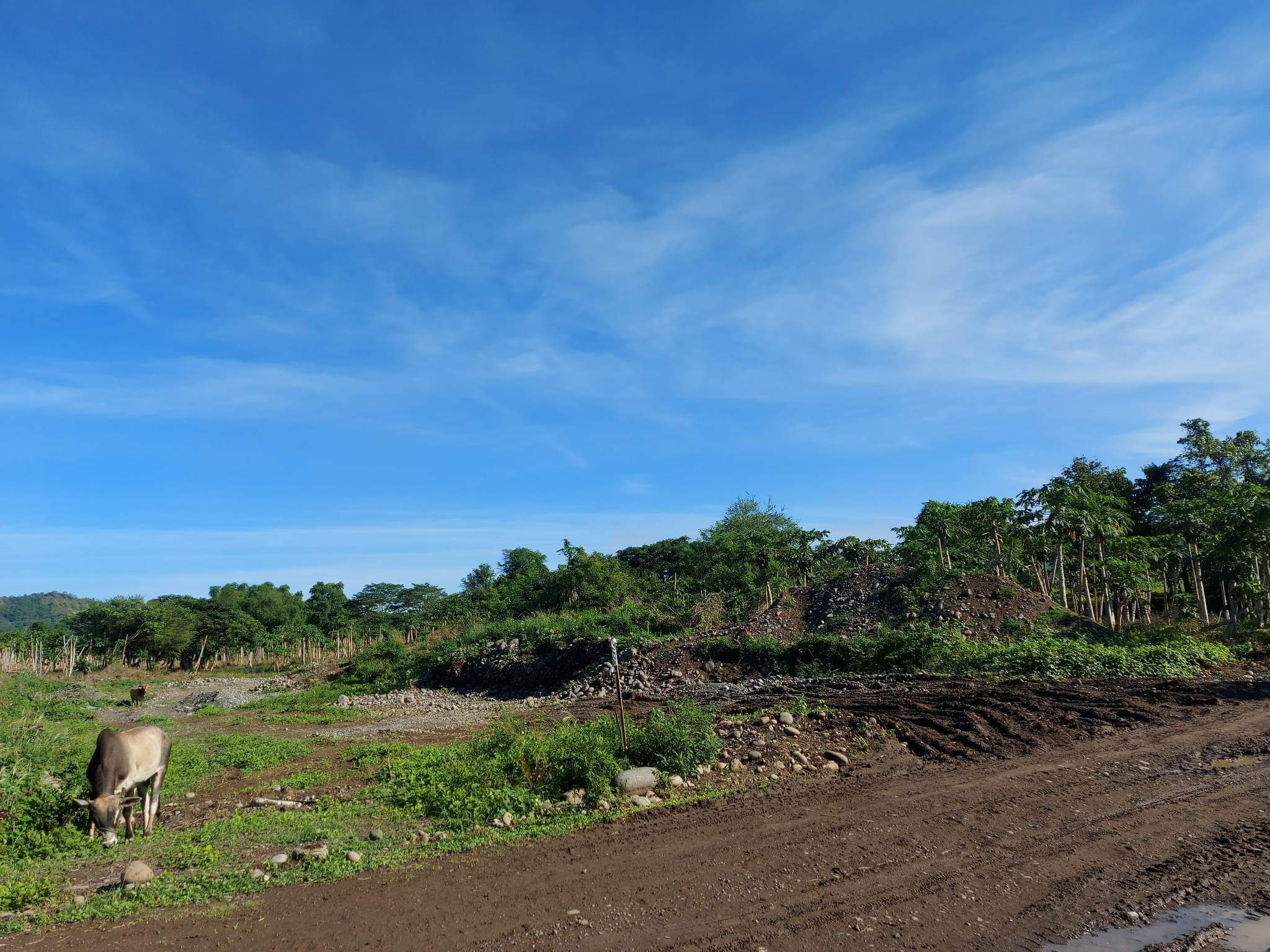 Santa Ana Tagoloan Lot for Sale