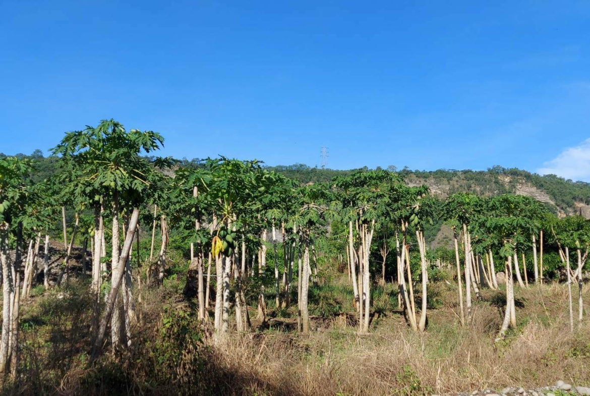 Santa Ana Tagoloan Lot for Sale