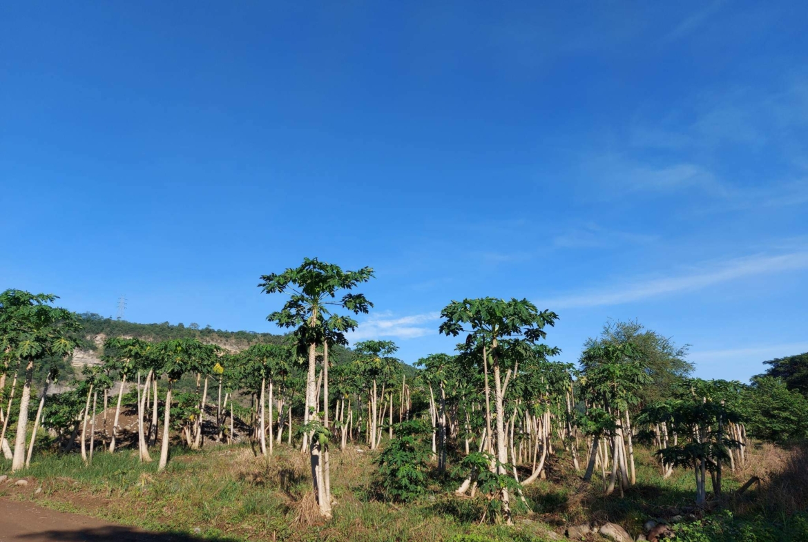 Santa Ana Tagoloan Lot for Sale