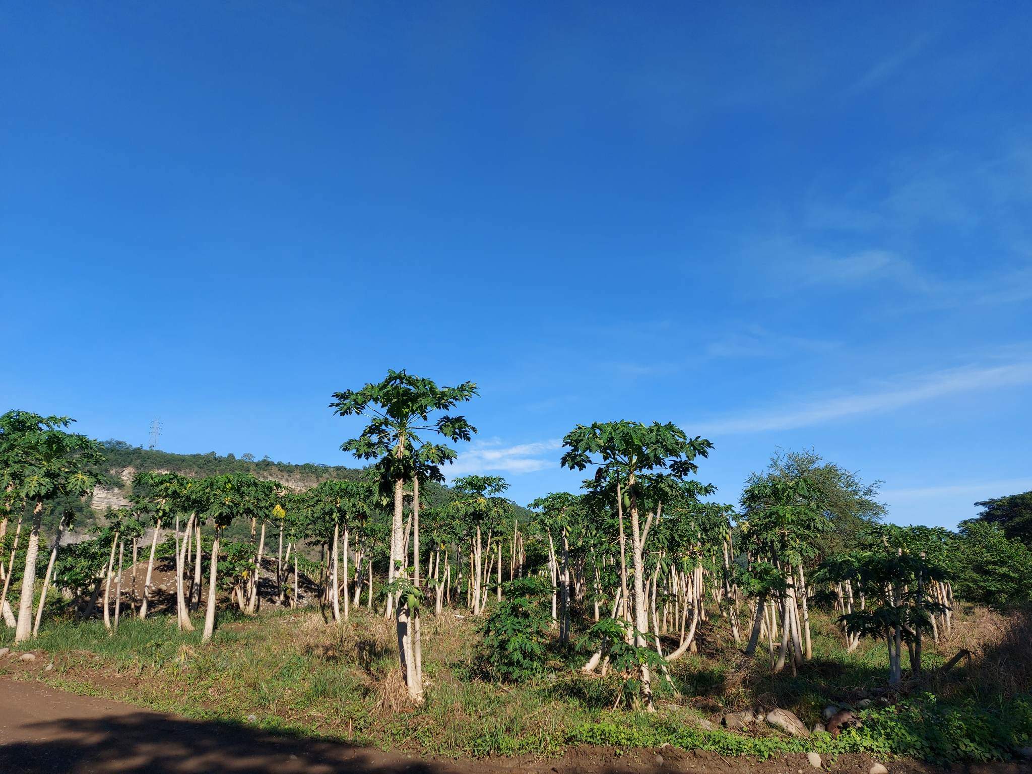 Santa Ana Tagoloan Lot for Sale